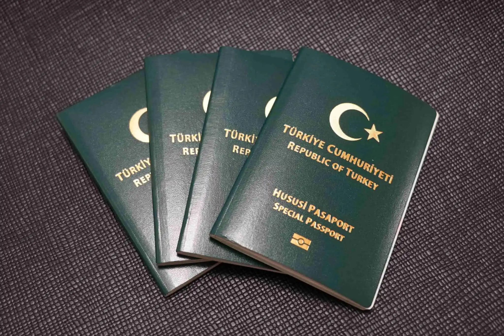 Bölge İdare Mahkemesi'nden Hususi Damgalı Pasaportun İadesi Kararı
